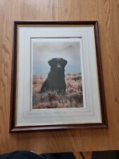 Vintage 1993 steven for sale  NOTTINGHAM