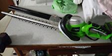 Tagliasiepe elettrico greenwor usato  Villanova d'Asti