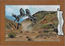Rittenhouse 2020 game for sale  Walla Walla