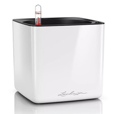 Lechuza cube glossy usato  Roccagloriosa