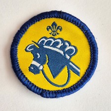 Beaver scout hobbies for sale  SHREWSBURY