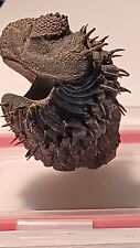 Trilobite fossil trilobit gebraucht kaufen  Mannheim