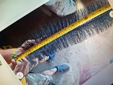 Pond filter brushes for sale  SOUTHEND-ON-SEA