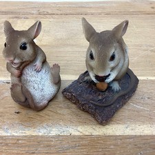 vivid pets for sale  WETHERBY
