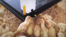 Abbeveratoio goccia con usato  Trevenzuolo