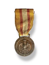 Medaglia artiglieria batterie usato  Rivoli