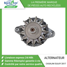 Alternateur casalini sulky d'occasion  Saint-Quentin