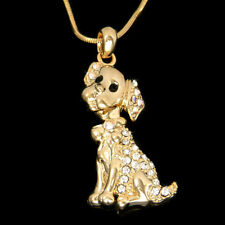 Labrador retriever made for sale  Bonner