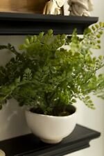 Tabletop artificial fern for sale  North Olmsted