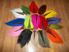 Buck tail deer for sale  Leicester
