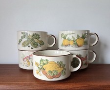 Vintage ceramic soup for sale Vintage ceramic soup for sale  HOUGHTON LE SPRING