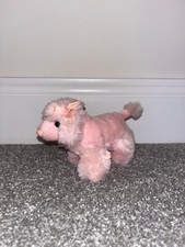 Mini pink poodle for sale  COALVILLE