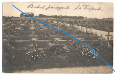 world war 1 photos for sale  LONDON