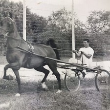 Vintage black white for sale  Allen