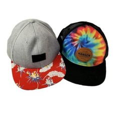 Skateboard hat vans for sale  Willowbrook