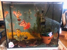 Fish aquarium ltr for sale  FROME