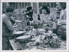 1945 buying cabbage for sale  Germantown