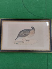 1870 original hand for sale  ST. ALBANS