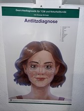 Poster gesichtsfiagnostik tcm gebraucht kaufen  Memmingen