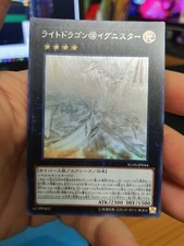 Light dragon ignister usato  Lainate
