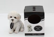 Vivid arts bichon for sale  DUDLEY