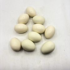 chicken eggs easter for sale chicken eggs easter for sale Pleasant Valley