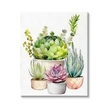Ziwei design succulent for sale  Helena