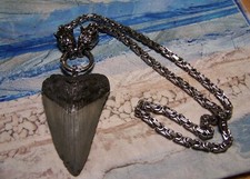 Megalodon shark tooth for sale  Hinesville