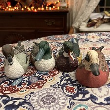 Colorful plastic duck for sale  Beach Haven
