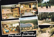 Alzenau pony hotel gebraucht kaufen  Aachen
