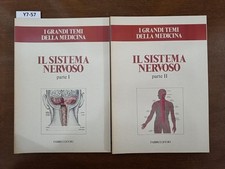 Sistema nervoso parte usato  Carpi