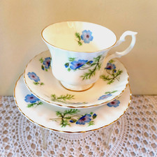 poppy tea for sale  DONCASTER
