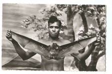 Nouvelle caledonie noumea d'occasion  Toulon-