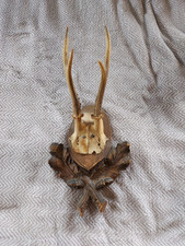 Rehgeweih holz . gebraucht kaufen  Traunstein
