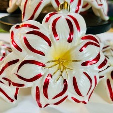 Amaryllis christmas ornaments for sale  Bowdon