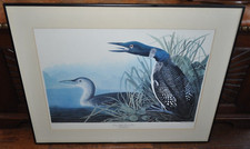 Audubon birds america for sale  Dallas