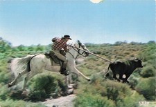 Camargue manade cacharel d'occasion  Expédié en Belgium