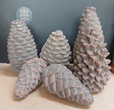 Ceramic pinecones fireplace for sale  OKEHAMPTON