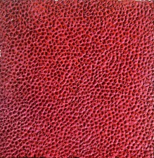 Jorrit tornquist 50x50 usato  Milano