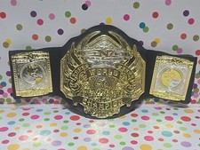 Tna heavyweight wrestling for sale  Barberton
