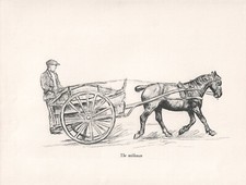 Original vintage horse for sale  COLEFORD