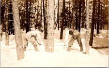Loggers sawing tree for sale  Tempe