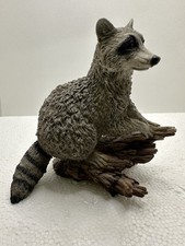 Castagna italy raccoon for sale  Sonora