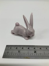 Pink german rabbit for sale  WEYMOUTH