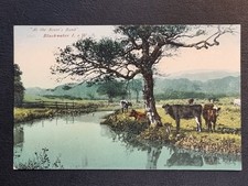 Blackwater postcard c1910 for sale  TELFORD