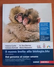 Nuovo invito alla usato  Vairano Patenora