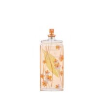 Elizabeth arden green usato  Ancona