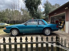 clean mustang for sale clean mustang for sale Campo