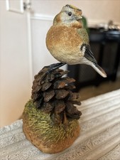 Goldcrest resting pine for sale  LEEDS