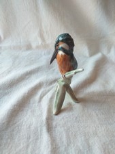 Oiseau. martin pécheur d'occasion  France